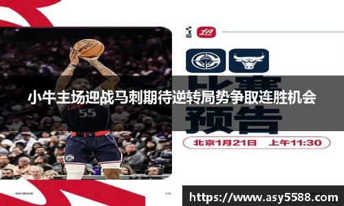 智博19有限公司