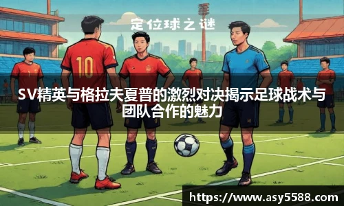 智博19有限公司